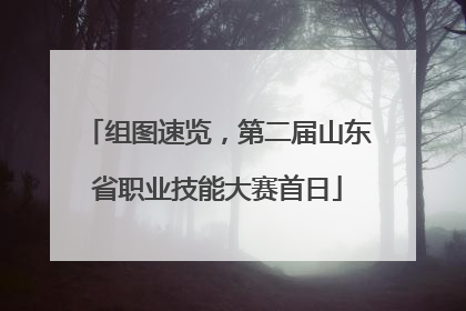 组图速览，第二届山东省职业技能大赛首日